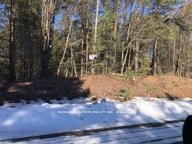 0 Sandaraska Road, Durham, ON , MLS #X11920439 , Image - 1