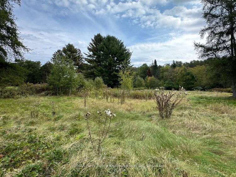 63 Pineridge Drive, McDougall, ON, McDougall