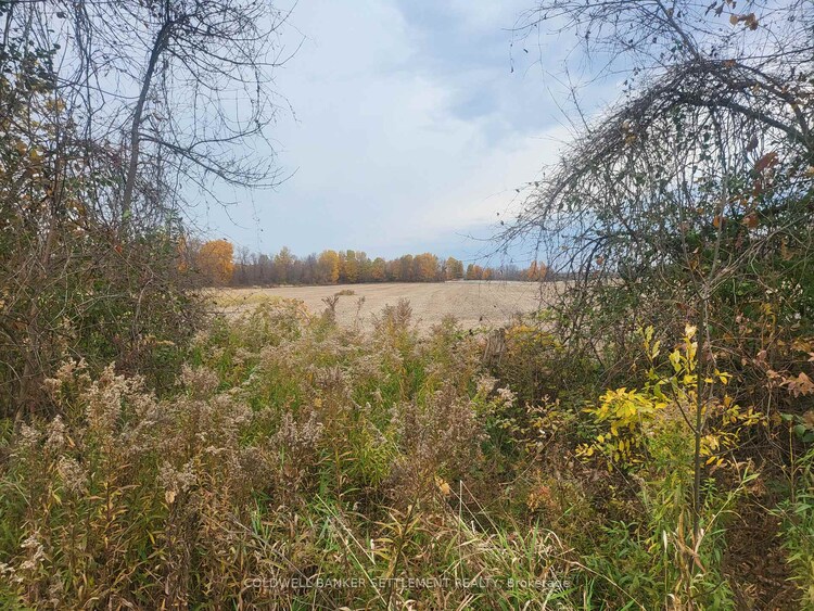 Lot 5 BUSH Road, Rideau Lakes, ON, 817 - Rideau Lakes (South Crosby) Twp
