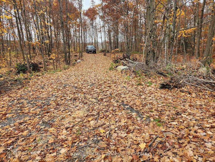 52 Hawkins Point Road, Georgian Bay, ON, Freeman