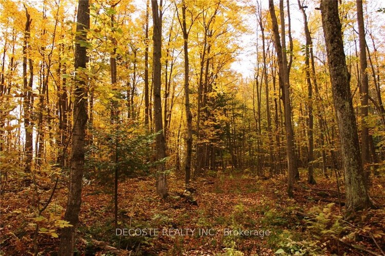 0000 COUNTY 43 Road, North Glengarry, ON, 720 - North Glengarry (Kenyon) Twp