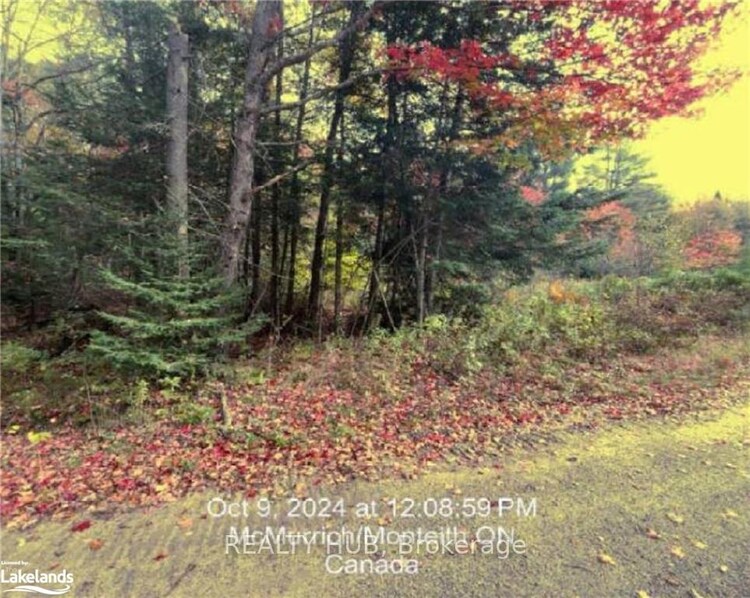 LOT 5 AXE LAKE Road, McMurrich/Monteith, ON, McMurrich