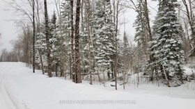 PCL 20438 & 29803 Upper Walker Lake Rd Road, Muskoka, ON , MLS #X12039113 , Image - 1