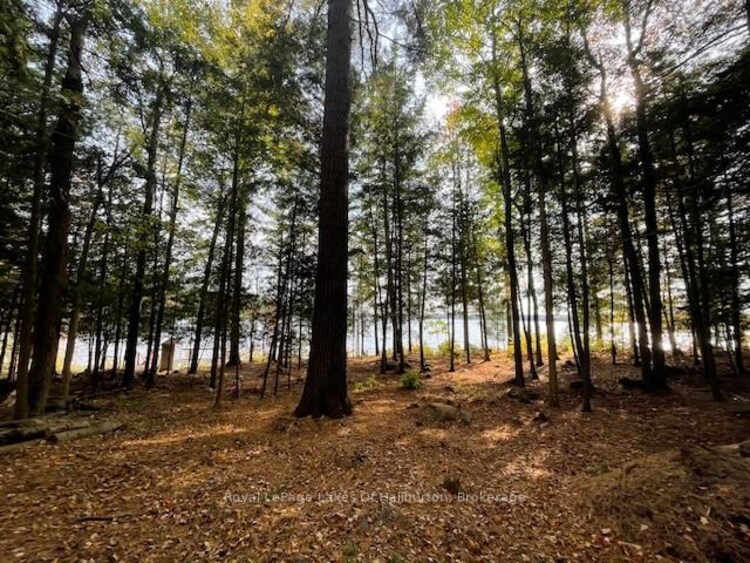 0 HWY 35 N/A, Algonquin Highlands, ON, Stanhope