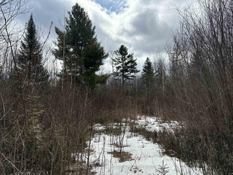 2035 Ventnor Road, Edwardsburgh/Cardinal, ON, 807 - Edwardsburgh/Cardinal Twp