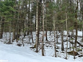 N/A Quarry Road, Hastings, ON , MLS #40708629 , Image - 1