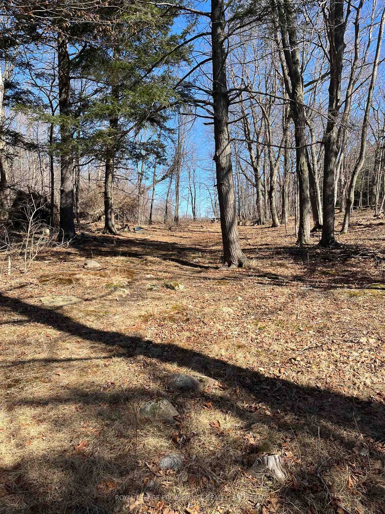 Pt Lt 6-7 16th Line Road, Frontenac Islands, ON, 04 - The Islands