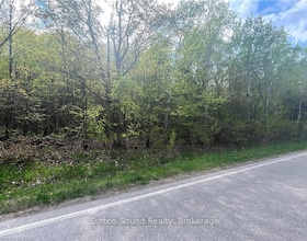 Lot 6 Grey Road 1 N/A, Grey County, ON , MLS #X12048188 , Image - 1