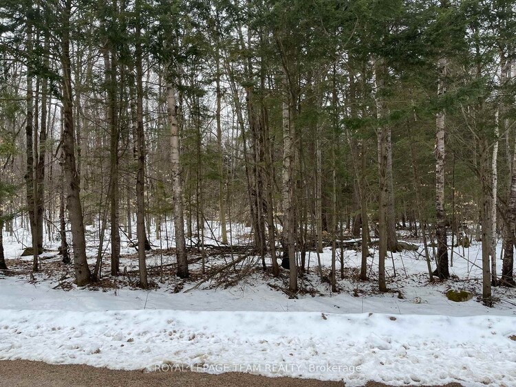 387 Sunny Hill Road, Madawaska Valley, ON, 570 - Madawaska Valley