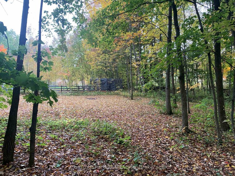 154 BOWLES BLUFF Road, Grey Highlands, ON, Grey Highlands