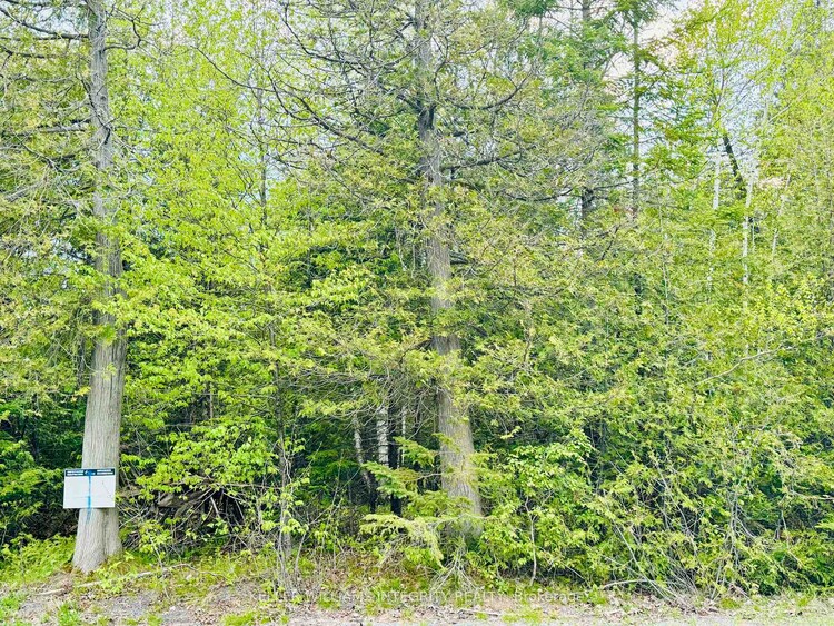 7110 Gallagher Road, Manotick - Kars - Rideau Twp and Area, ON, 8008 - Rideau Twp S of Reg Rd 6 W of Mccordick Rd.