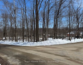 85 Polish Avenue, Simcoe, ON , MLS #S12981458 , Image - 1