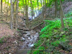 716 Artaban Road, Hamilton, ON , MLS #X12026413 , Image - 1
