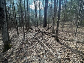 672 CALABOGIE Road, Renfrew, ON , MLS #X12027048 , Image - 1