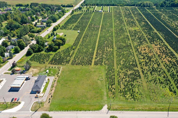 PtLot10 Con 6 EHS N/A, Mulmur, ON, Rural Mulmur