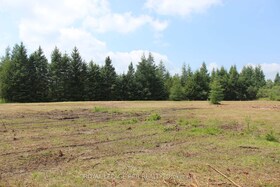 0 Amaranth/E.Luther TL N/A N, Dufferin, ON , MLS #X12021851 , Image - 1