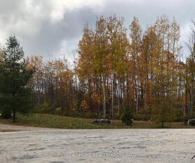 9 Frederick Street, Bruce, ON , MLS #X12013839 , Image - 1