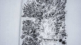 00 Smith Road, Stormont, Dund, ON , MLS #X11957856 , Image - 1