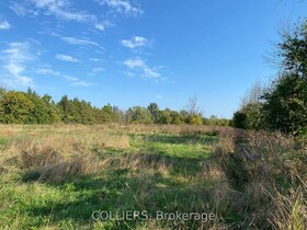 160 Queen Street, Stormont, Dund, ON , MLS #X11952280 , Image - 1