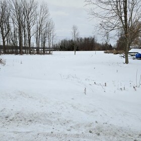 000 Manning Road, Stormont, Dund, ON , MLS #X11923975 , Image - 1