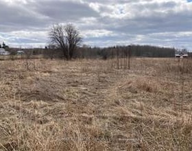 Lot South Branch Road S, Stormont, Dund, ON , MLS #X12295111 , Image - 1