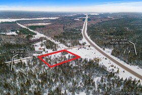 17 Dyers Bay Road, Bruce, ON , MLS #X11911822 , Image - 1