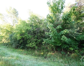 PtLt31 PLEASANT VALLEY Road, Stormont, Dund, ON , MLS #X12477709 , Image - 1