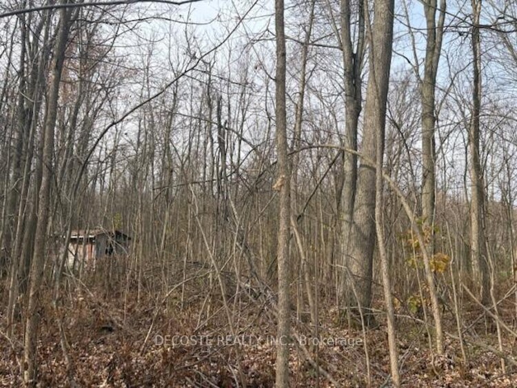 4942 COUNTY ROAD 34 Road, South Glengarry, ON, 723 - South Glengarry (Charlottenburgh) Twp