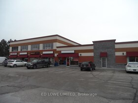 110 Little Avenue, Simcoe, ON , MLS #S11912972 , Image - 1