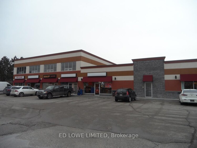 110 Little Avenue, Barrie, ON, Allandale Heights