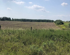 0 Airport Road, Peel, ON , MLS #W13683328 , Image - 1