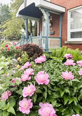 38 Ordnance Street, Frontenac, ON , MLS #X12603738 , Image - 1