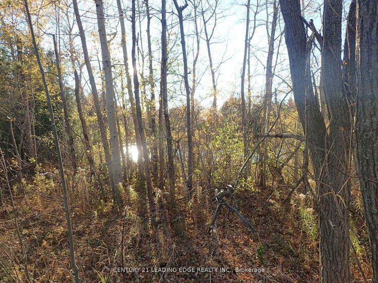 3536 Bloomington Road, Whitchurch-Stouffville, ON, Rural Whitchurch-Stouffville