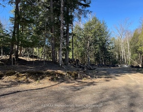 TBD Lakeview Street, Haliburton, ON , MLS #X13062514 , Image - 1
