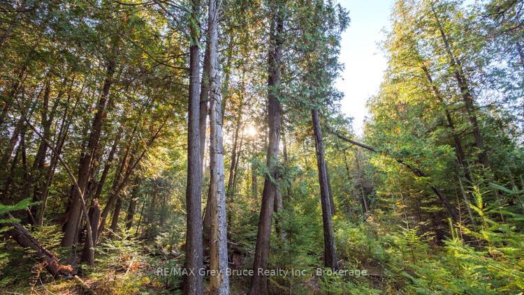 part lot 37 con D Sauble Falls Parkway, South Bruce Peninsula, ON, South Bruce Peninsula