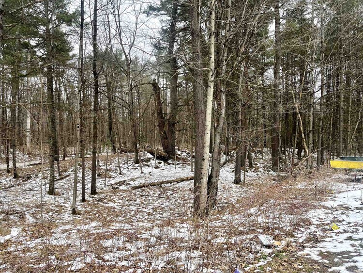 P7 CLEAR LAKE Road, Rideau Lakes, ON, 817 - Rideau Lakes (South Crosby) Twp