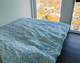 319 Jarvis Street, Toronto, ON , MLS #C12906954 , Image - 1