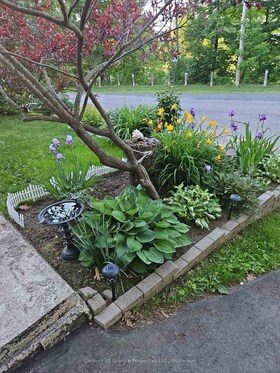 26 Riverdale Road, Parry Sound, ON , MLS #X12070262 , Image - 1