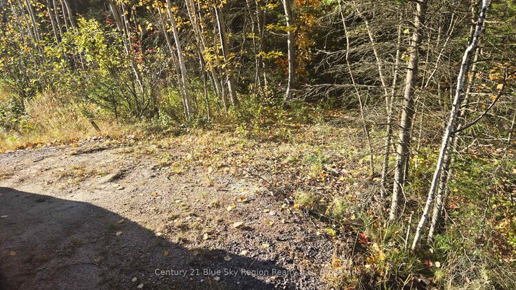 PT LT 6 CON 11 Highway 654 N/A, Nipissing, ON, Nipissing