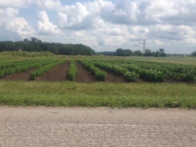 5525 Concession Rd 4 N/A, Adjala-Tosorontio, ON, Rural Adjala-Tosorontio