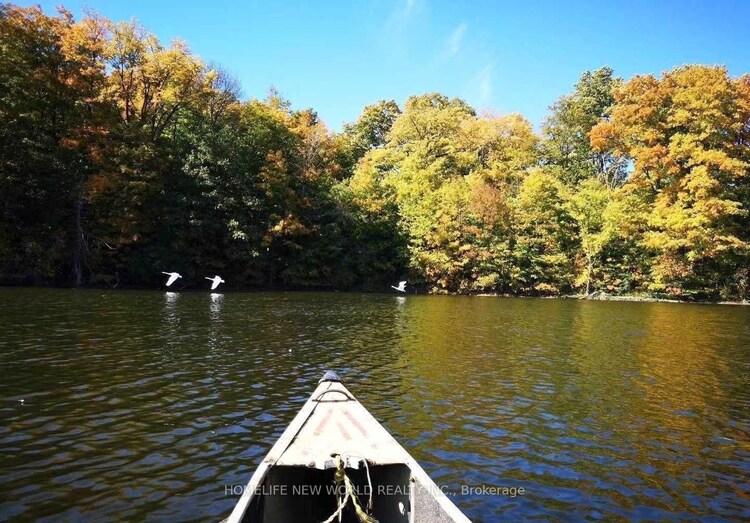 3134 Bloomington Road, Whitchurch-Stouffville, ON, Rural Whitchurch-Stouffville