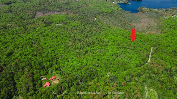 0 Healey Lake Road, Bracebridge, ON, Macaulay
