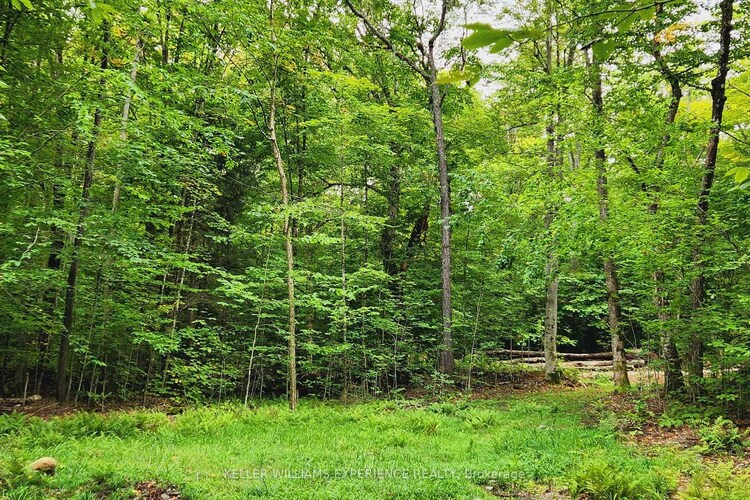 320 Proudfoot Road, Joly, ON, Joly