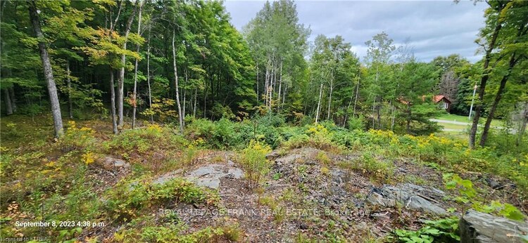 169 Northern Avenue, Galway-Cavendish and Harvey, ON, Rural Galway-Cavendish and Harvey