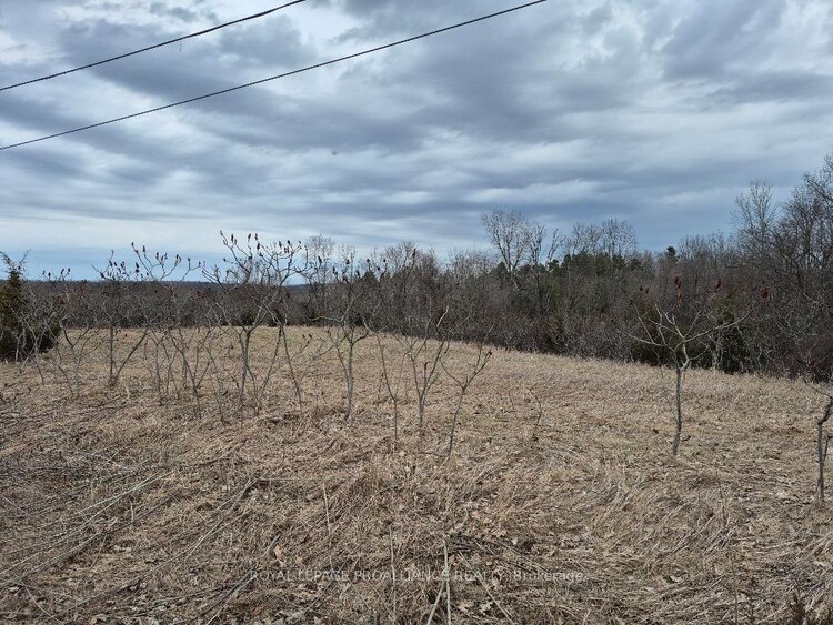 517 Downs Road, Quinte West, ON, Murray Ward