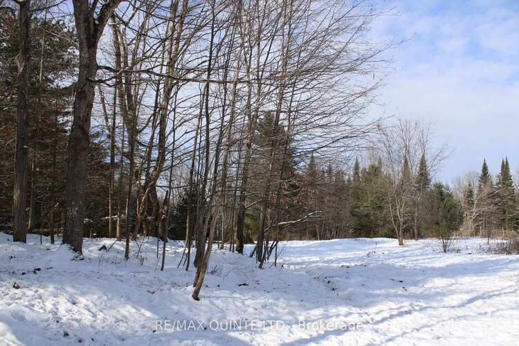 494 Twin Sister Lakes Road, Marmora and Lake, ON, Marmora Ward