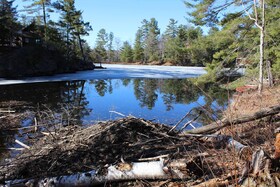 PT LTs H&I Island 12SR Island, Muskoka, ON , MLS #X12086336 , Image - 1