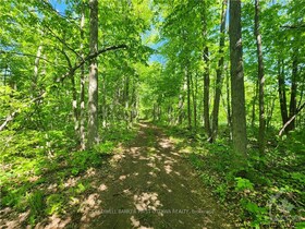 Lot 4-5 McLellan Road, Lanark, ON , MLS #X12087011 , Image - 1