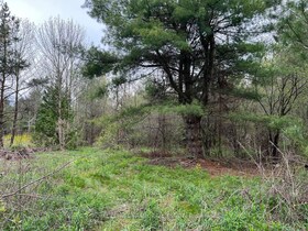 . Rutherford Road, Northumberland, ON , MLS #X12087423 , Image - 1