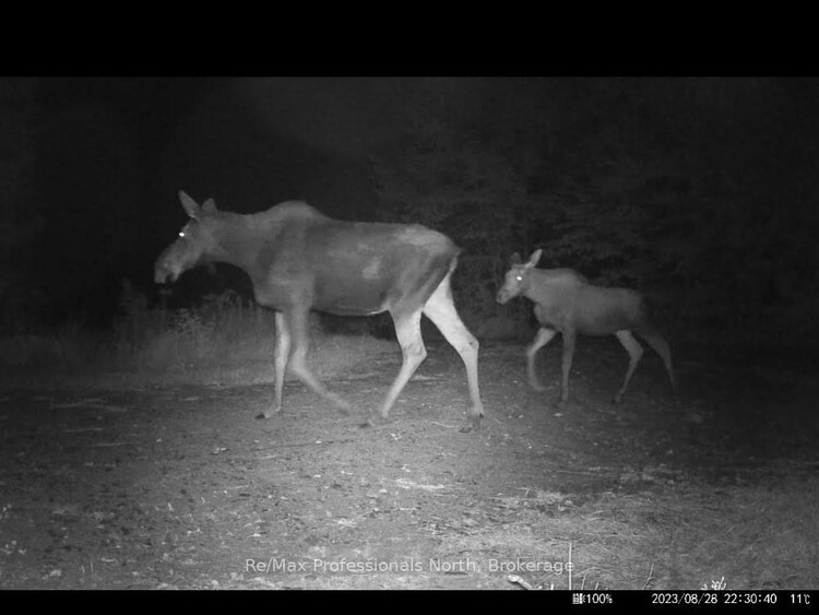 1199 Cedar Lake Road, Highlands East, ON, Monmouth